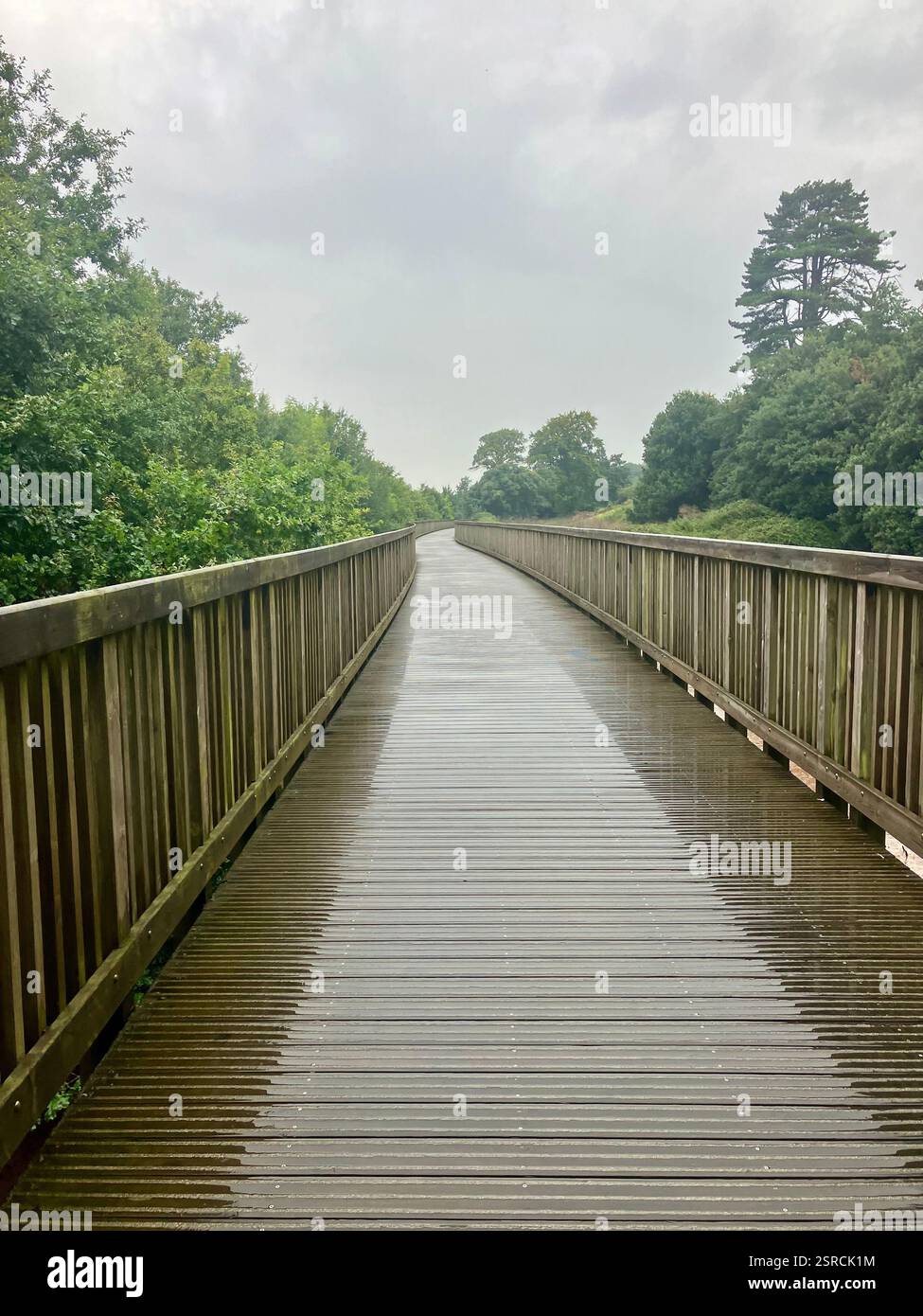 Wooden Foot Bridge Stretching into the Distance on the Exe Valley Way - Exmouth to Topsham - Smartphone Captured Stock Image