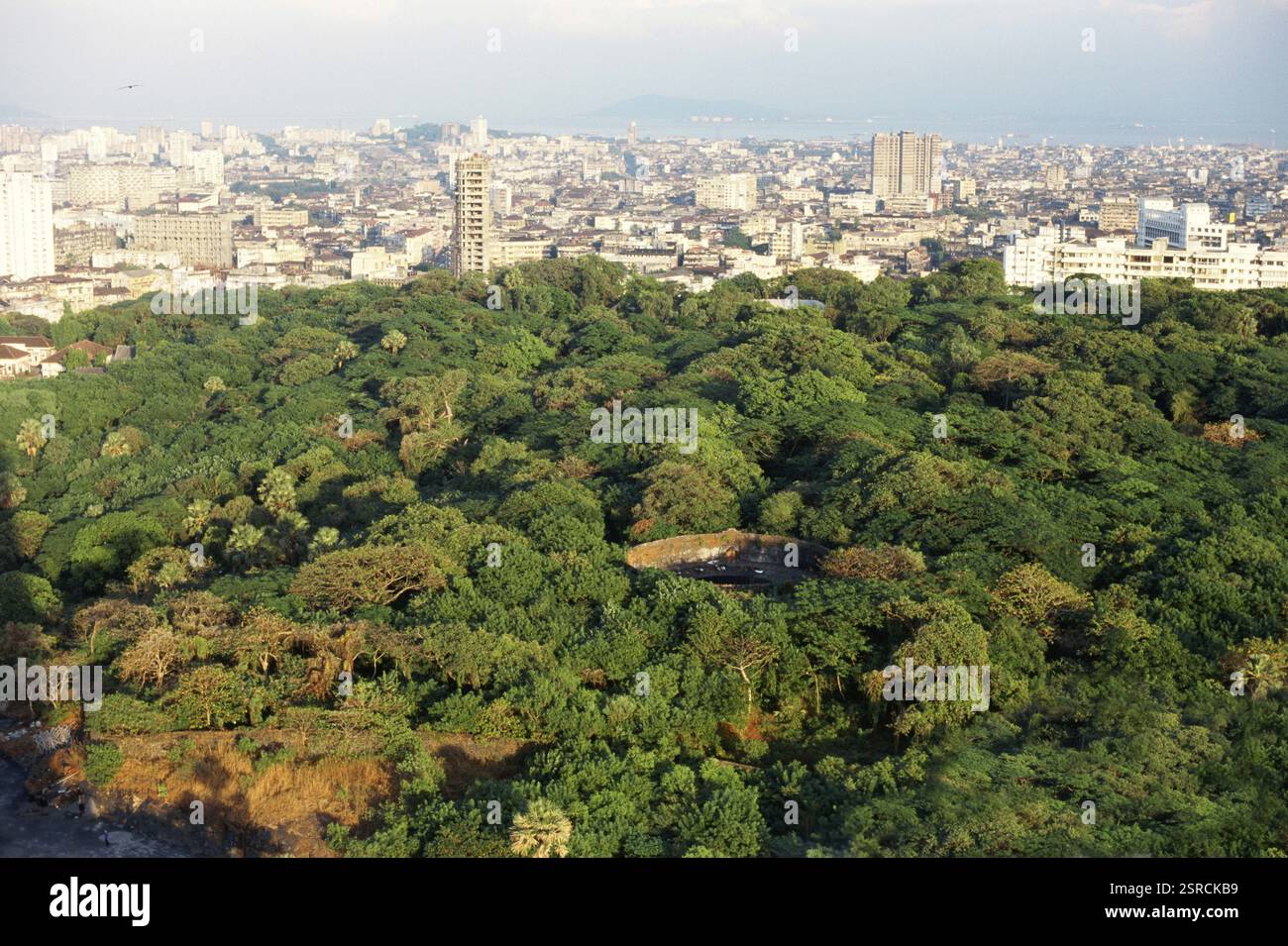 Tower of Silence Zoroastrian crematorium, Bombay Mumbai, Maharashtra, India, Asia Stock Photo