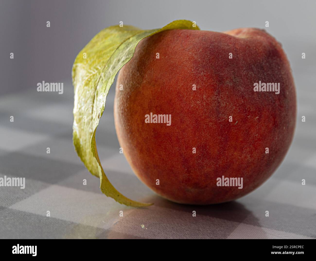A beautiful shot of a peach in natural light. Stock Photo