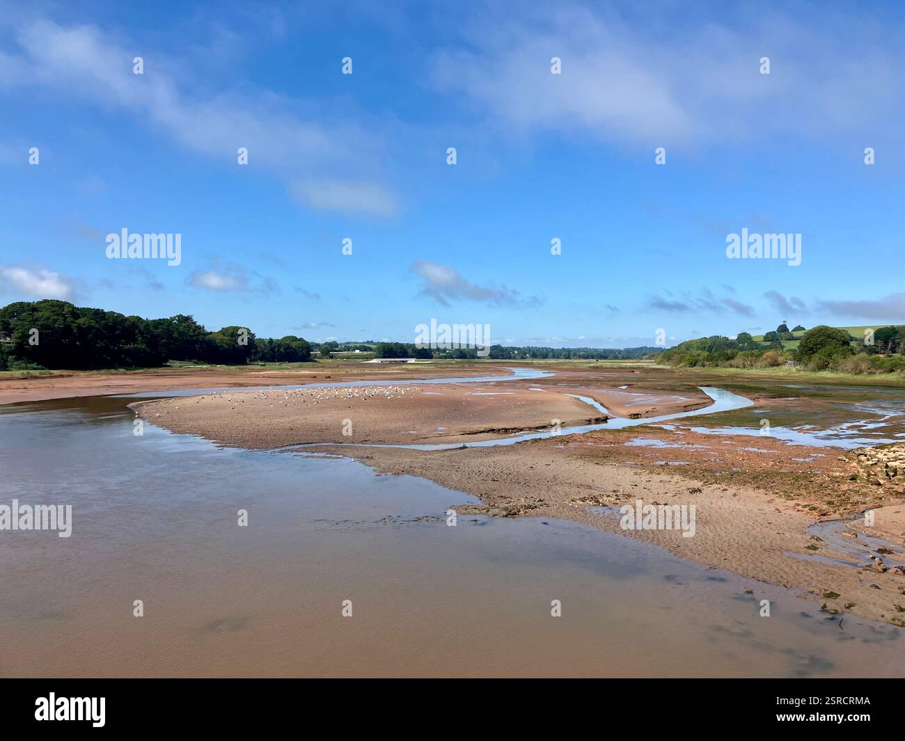 Looking Upstream - The River Otter, Nature Reserve, Budleigh Salterton, Devon - Smartphone Captured Stock Image