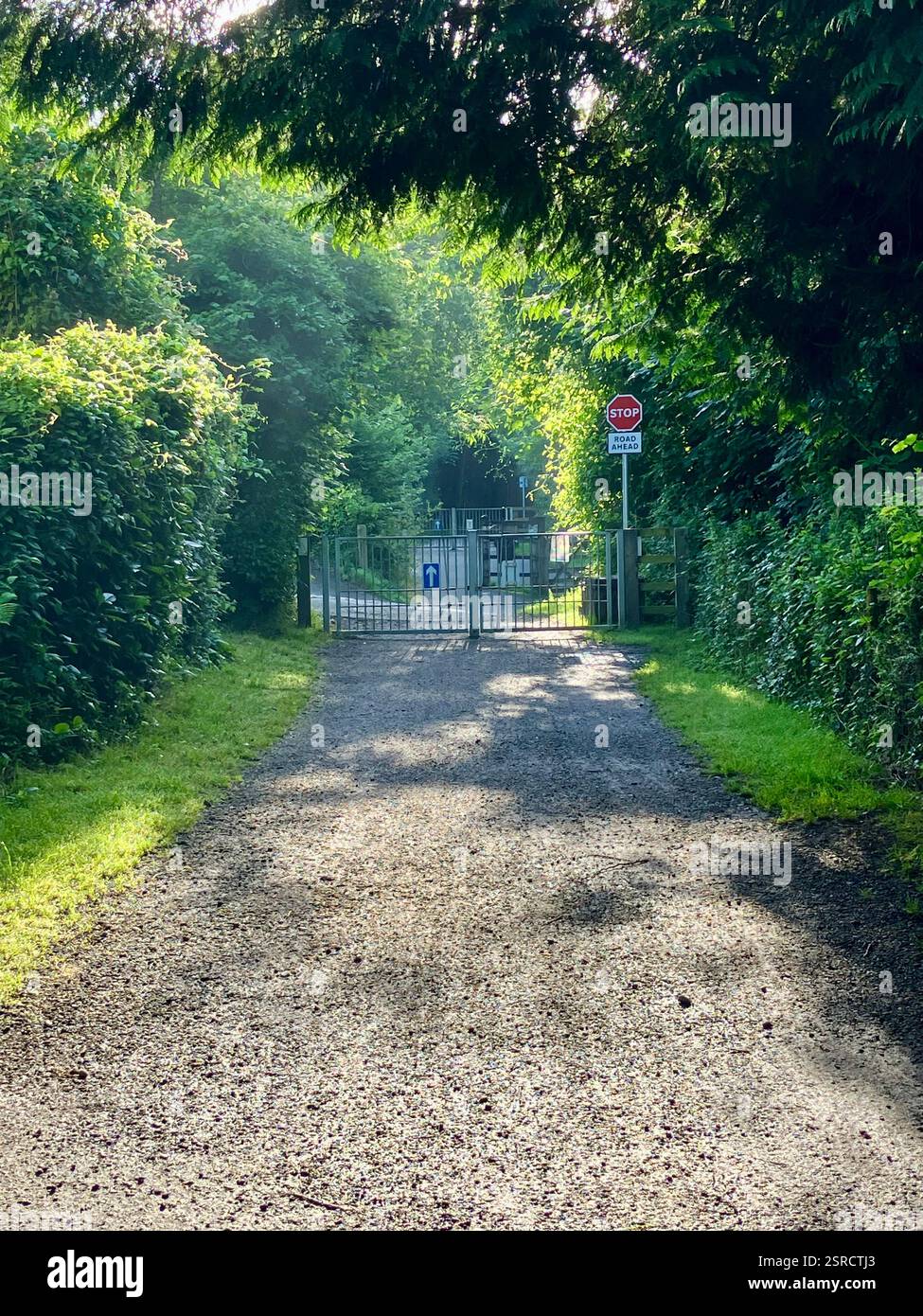 Walking the Camel Estuary Trail, Cornwall - Smartphone Captured Stock Image