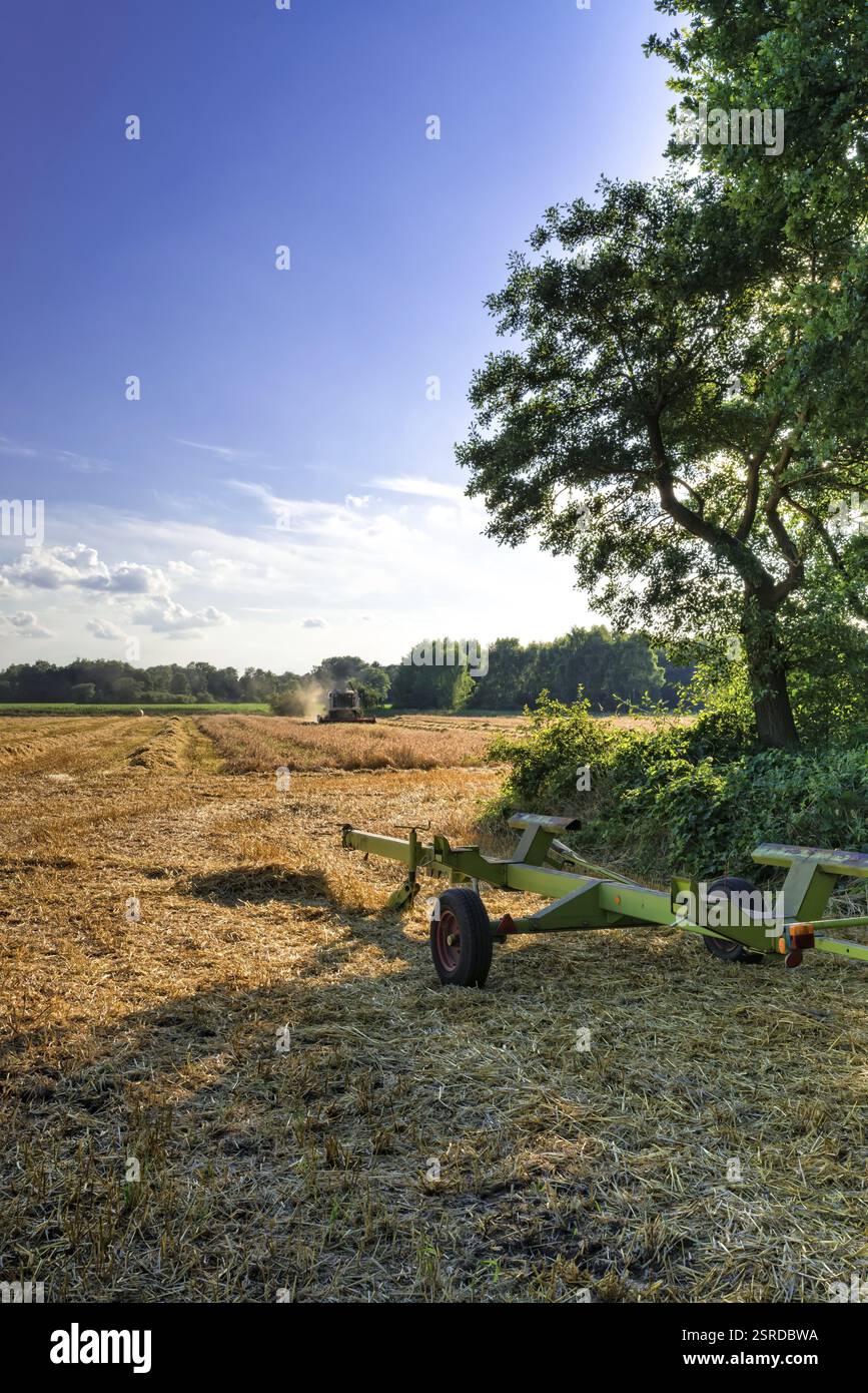 Tractors and harvesting Stock Photo - Alamy