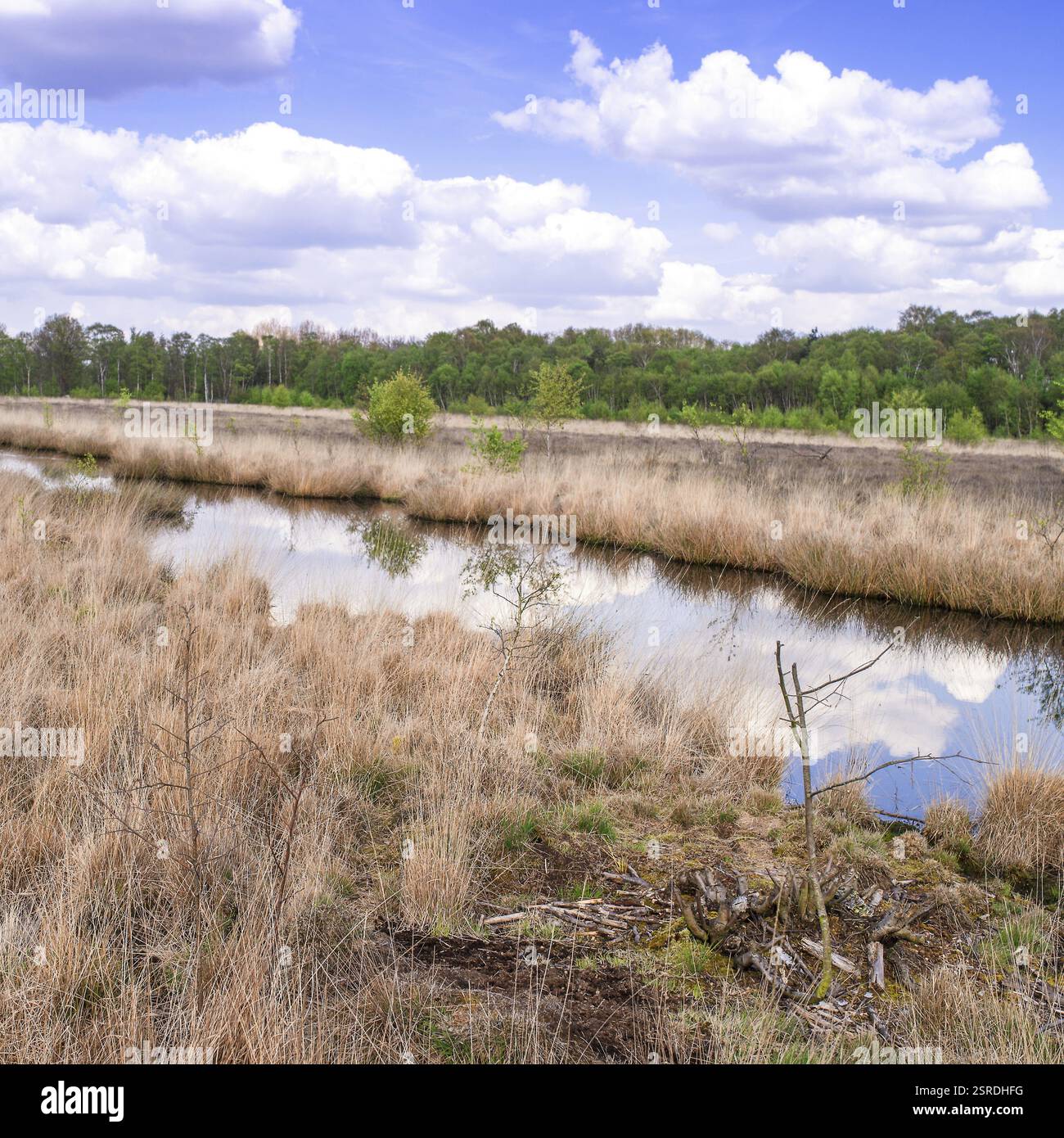 Moor Example Craggy moor hi-res stock photography and images - Alamy