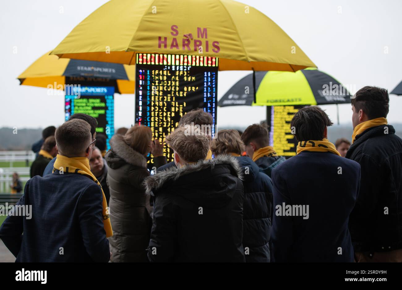 Ascot, United Kingdom. Saturday 15th February 2025. Racegoers look up ...