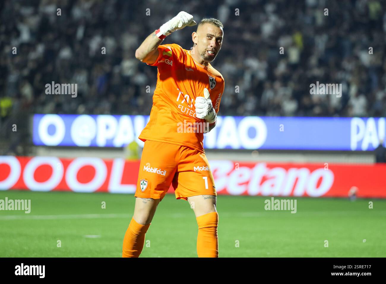 Sao Paulo, Brazil. 15th Feb, 2025. SP - SAO PAULO - 02/15/2025