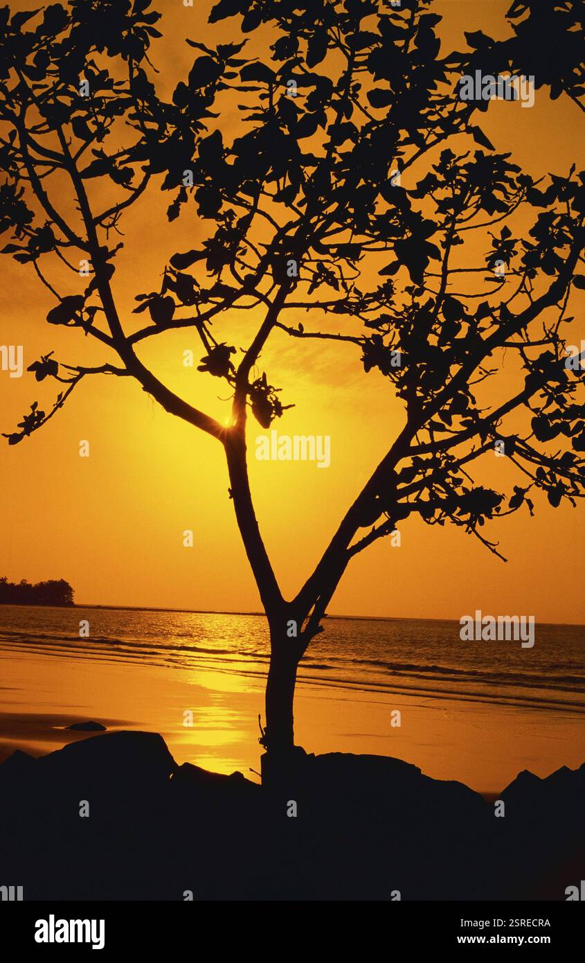 Mandwa Mandwa beach hi-res stock photography and images - Alamy