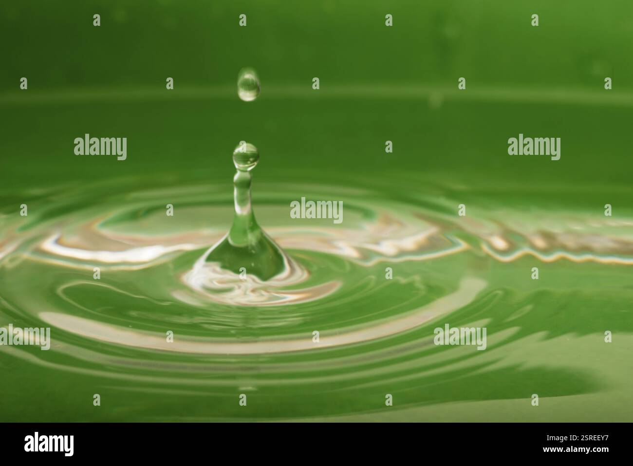 Water drop on a green background Stock Photo - Alamy
