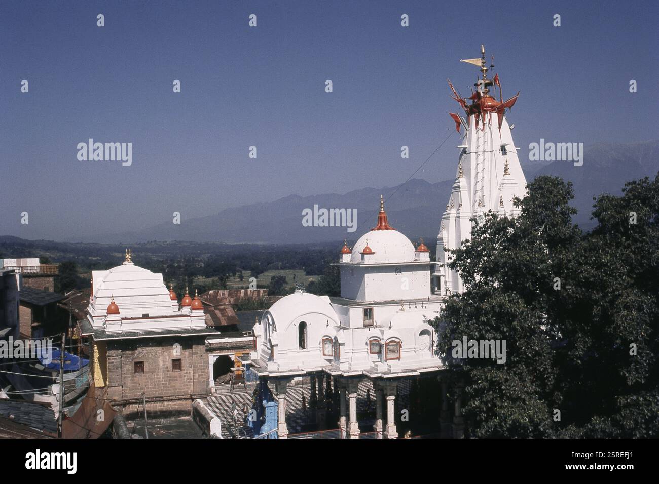 View of Brajeshwari Temple, Kangra, Himachal Pradesh, India, Asia Stock ...