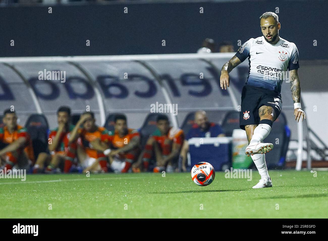 Sao Paulo, Brazil. 15th Feb, 2025. SP - SAO PAULO - 02/15/2025