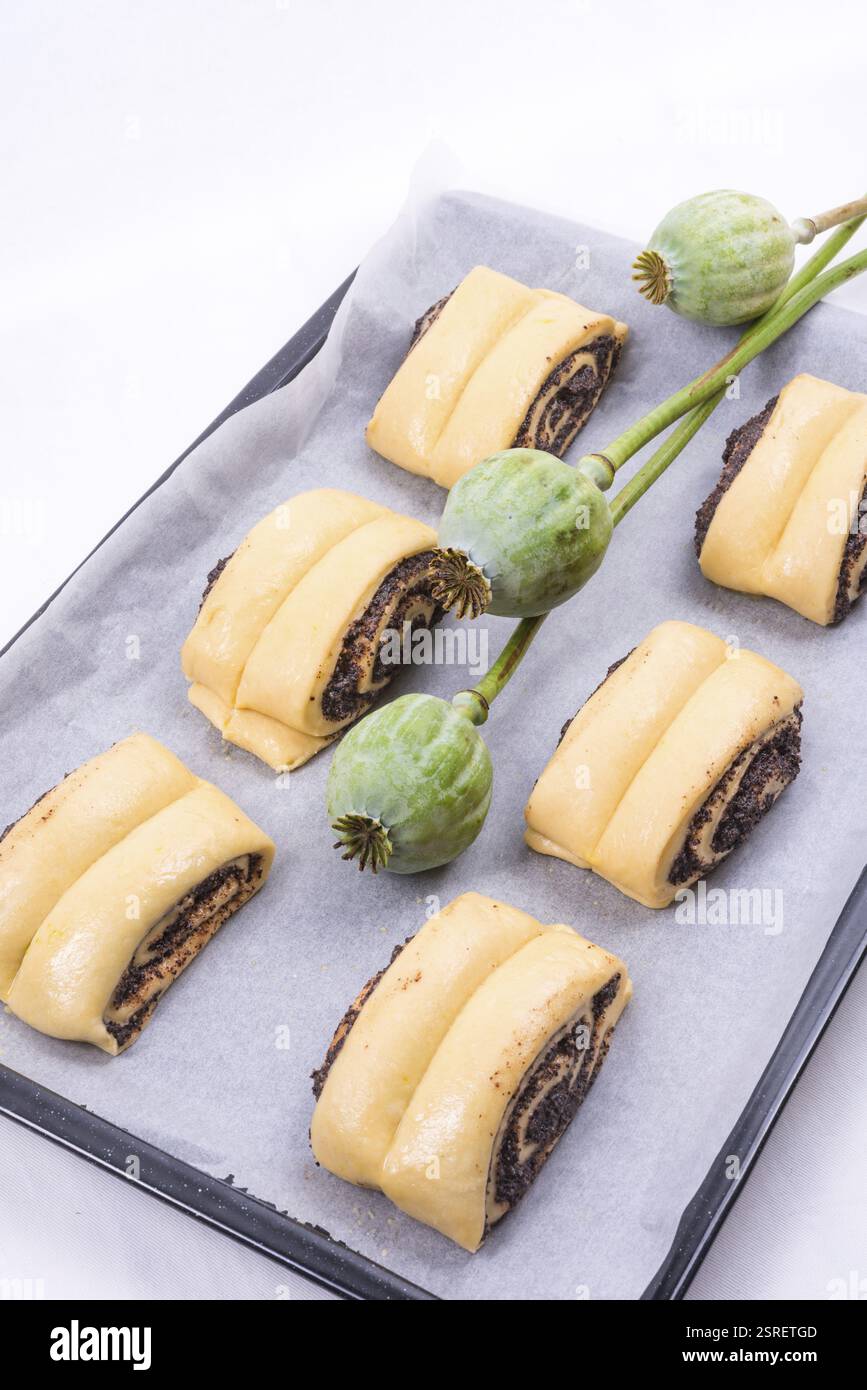 Raw Quick Poppy Seed Rolls Stock Photo
