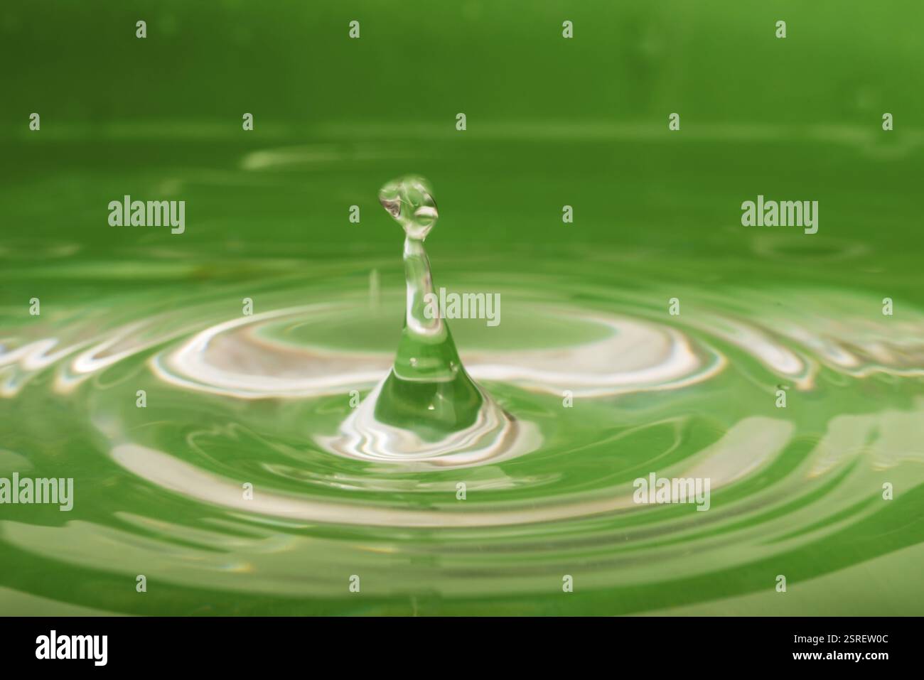 Water drop on a green background Stock Photo - Alamy