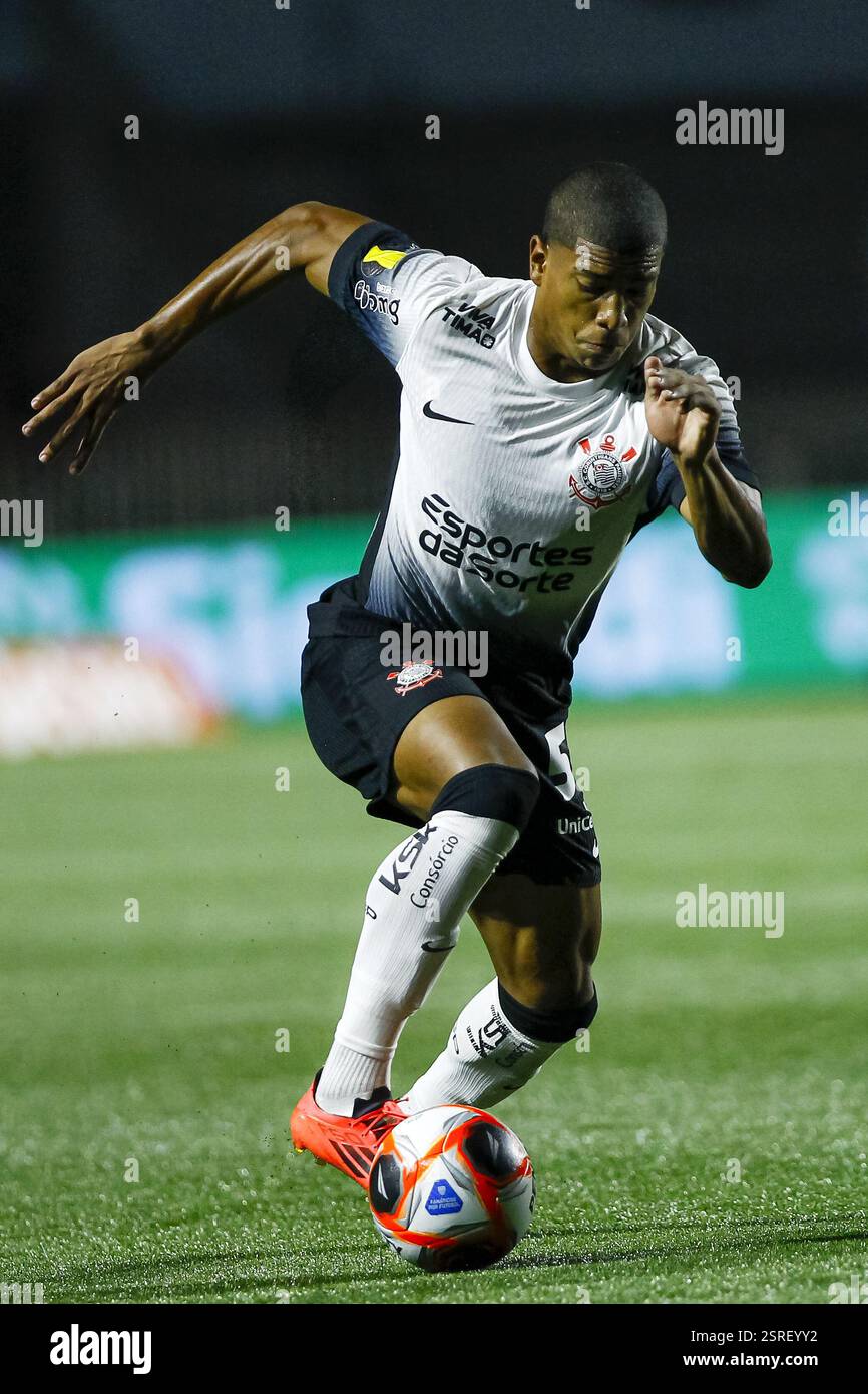 Sao Paulo, Brazil. 15th Feb, 2025. SP - SAO PAULO - 02/15/2025