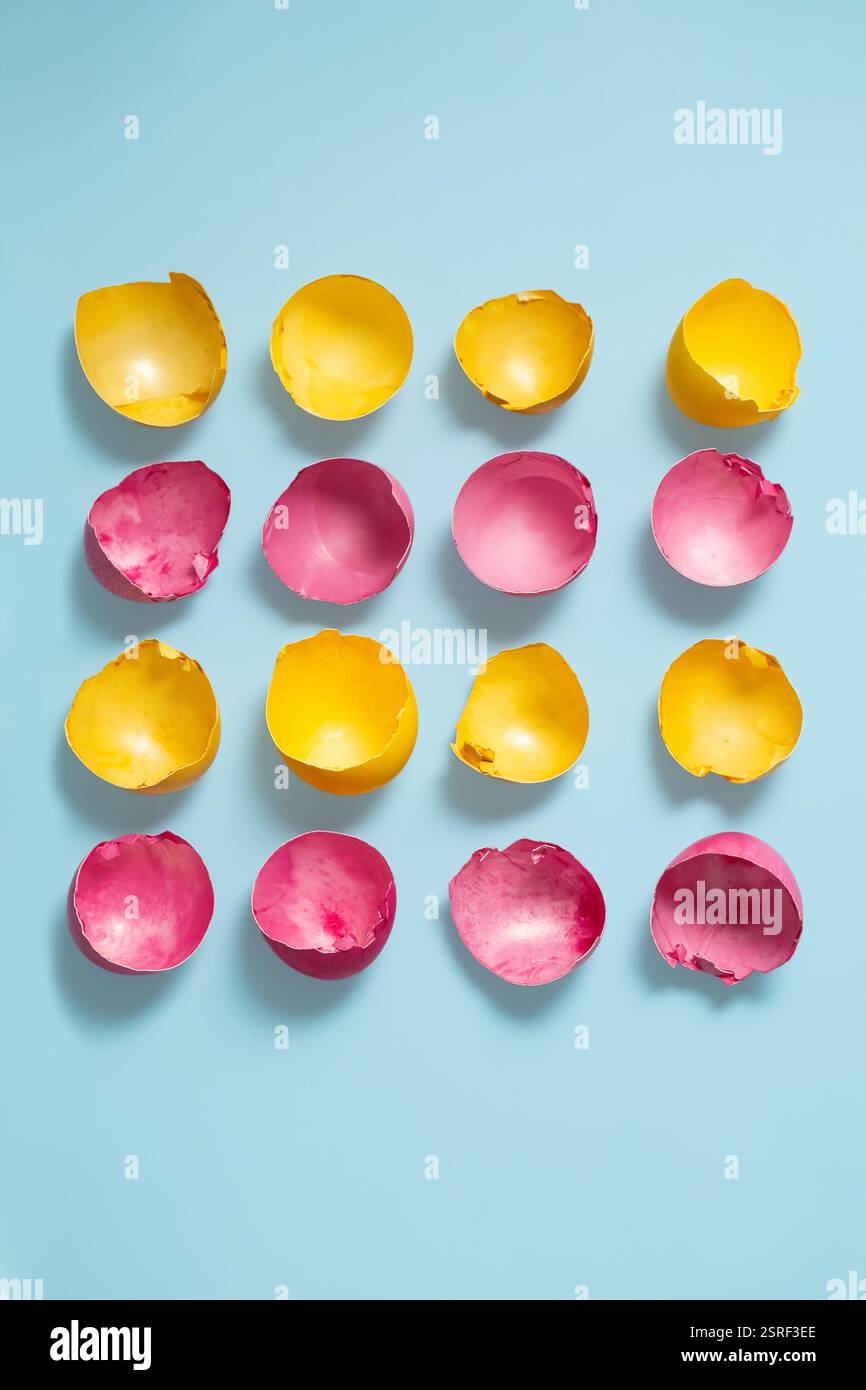 Yellow and Pink Cracked Easter Eggshells Arranged in a Rows on Light Blue Background. Stock Photo