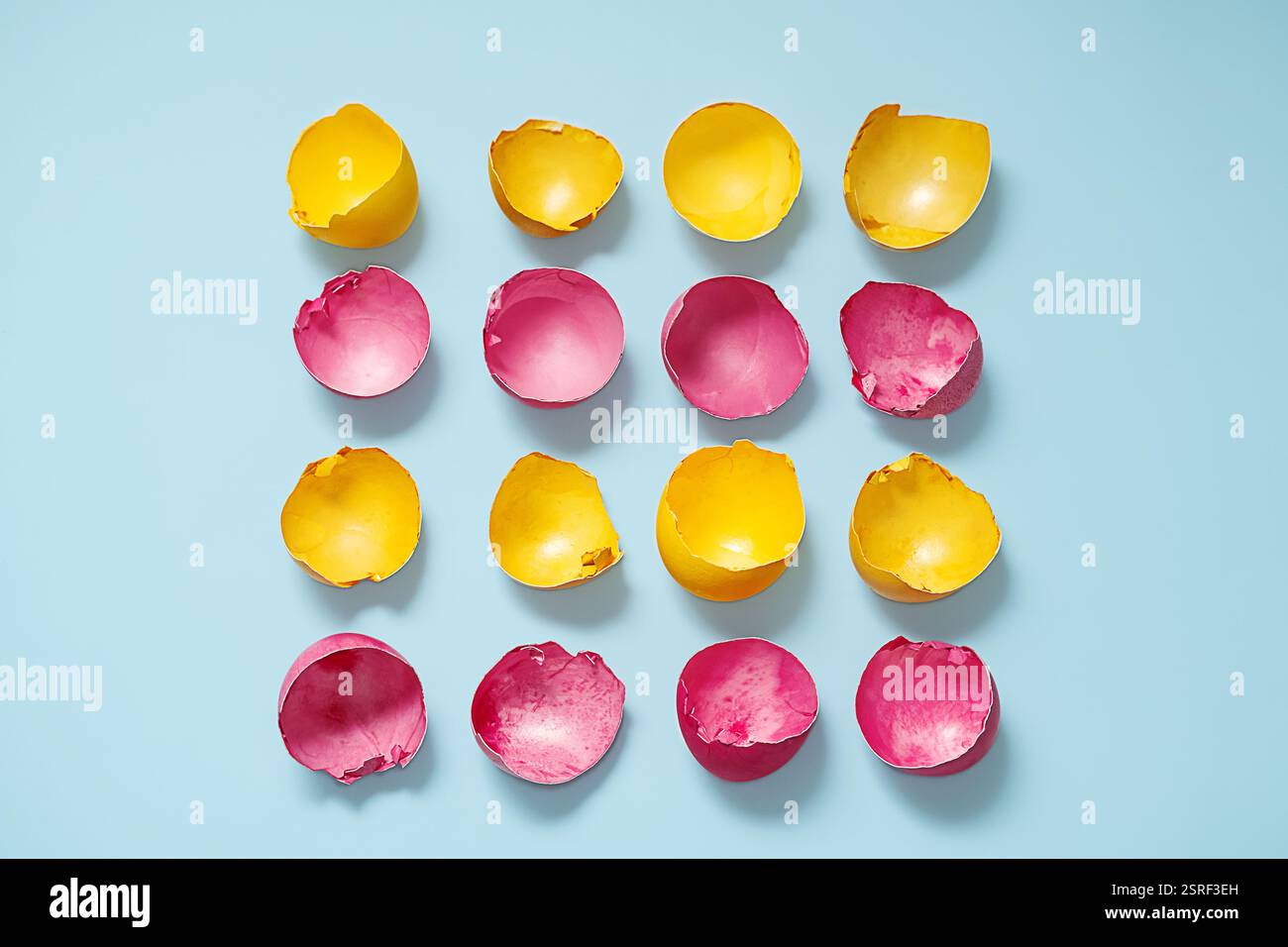 Yellow and Pink Cracked Easter Eggshells Arranged in a Rows on Light Blue Background. Stock Photo
