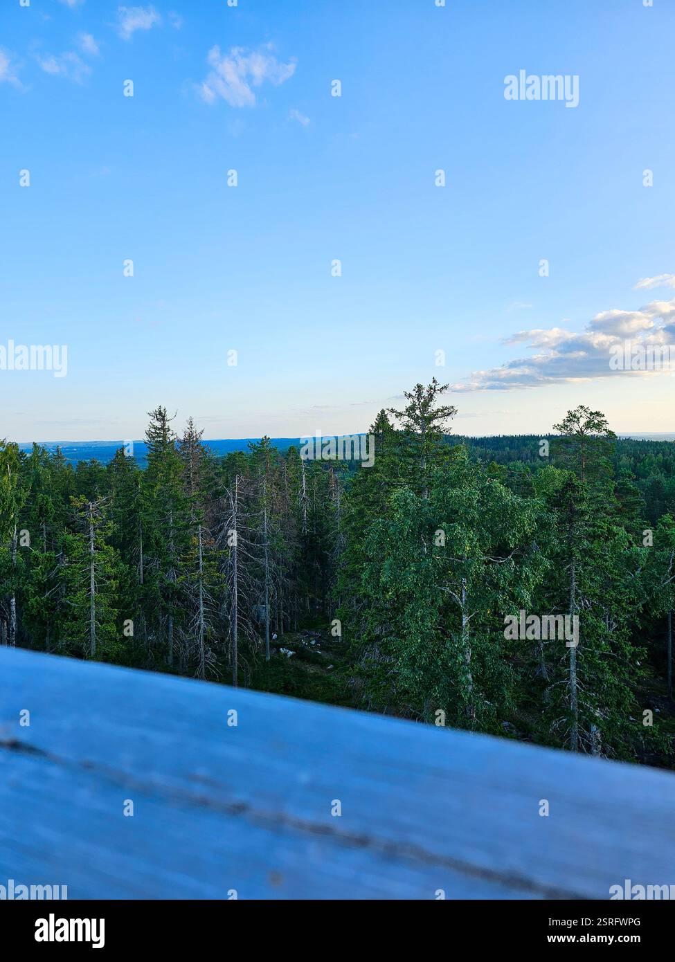 Landscape and beautiful view from Tahko mountain - Smartphone Captured Stock Image