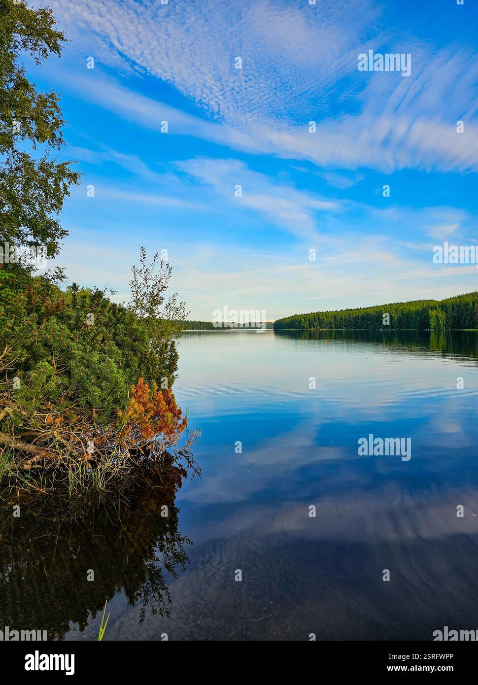 Beautiful landscape in the summer with lake and blue sky - Smartphone Captured Stock Image