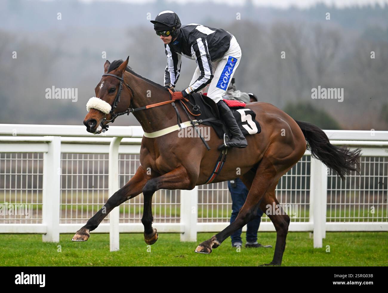 Ascot Racecourse, Berkshire, England. 15 February. The Changing Man ...
