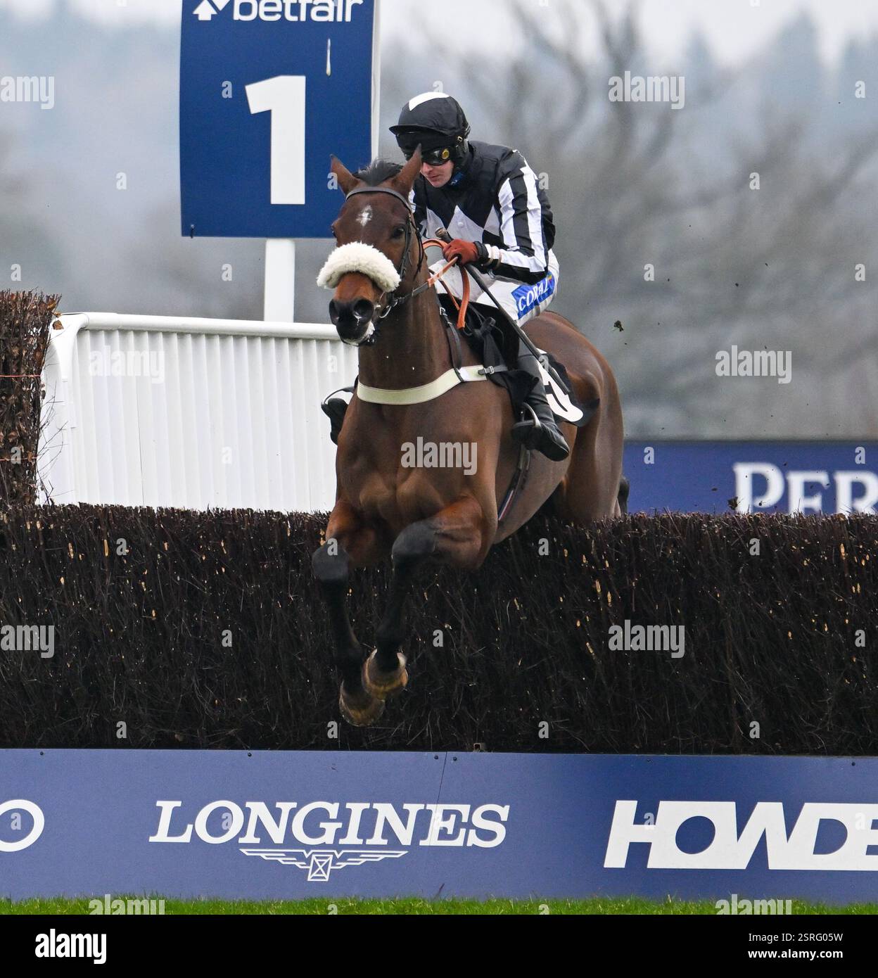 Ascot Racecourse, Berkshire, England. 15 February. The Changing Man ...