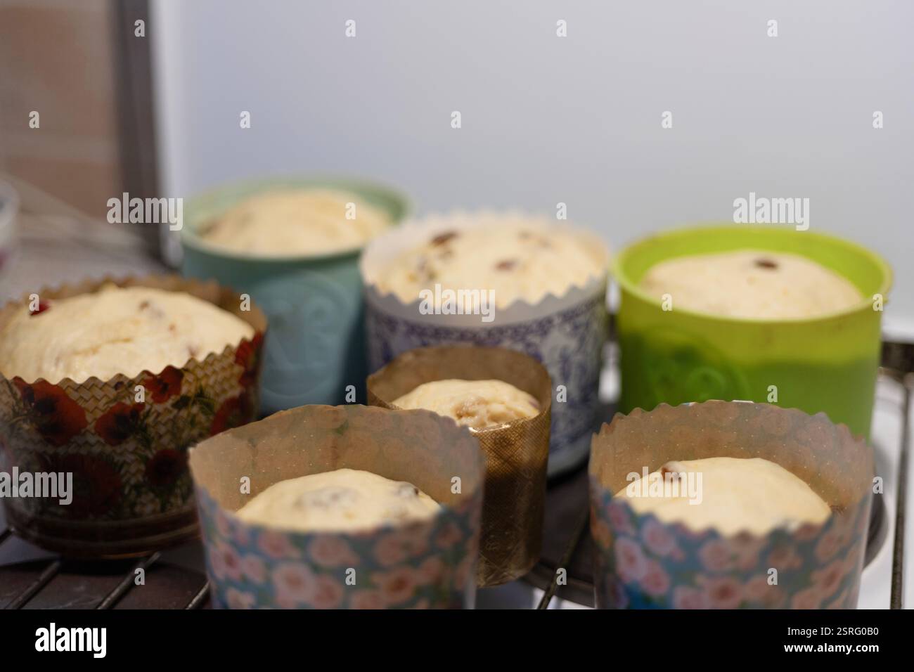 the dough for the Easter cake is laid out in forms Stock Photo