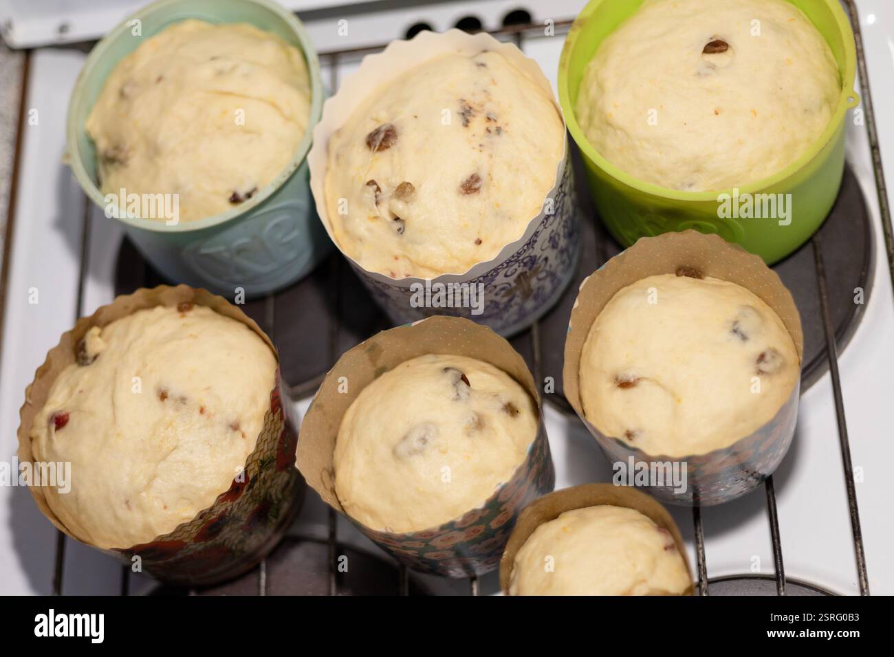the dough for the Easter cake is laid out in forms Stock Photo