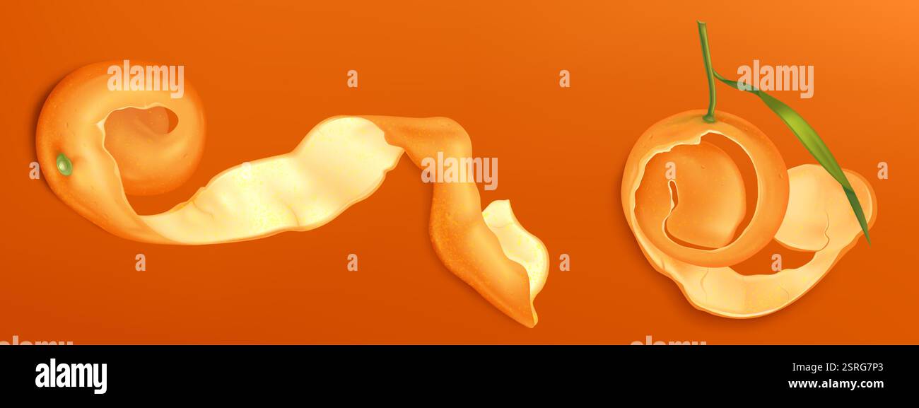 Tangerine peels set isolated on orange background. Vector realistic ...