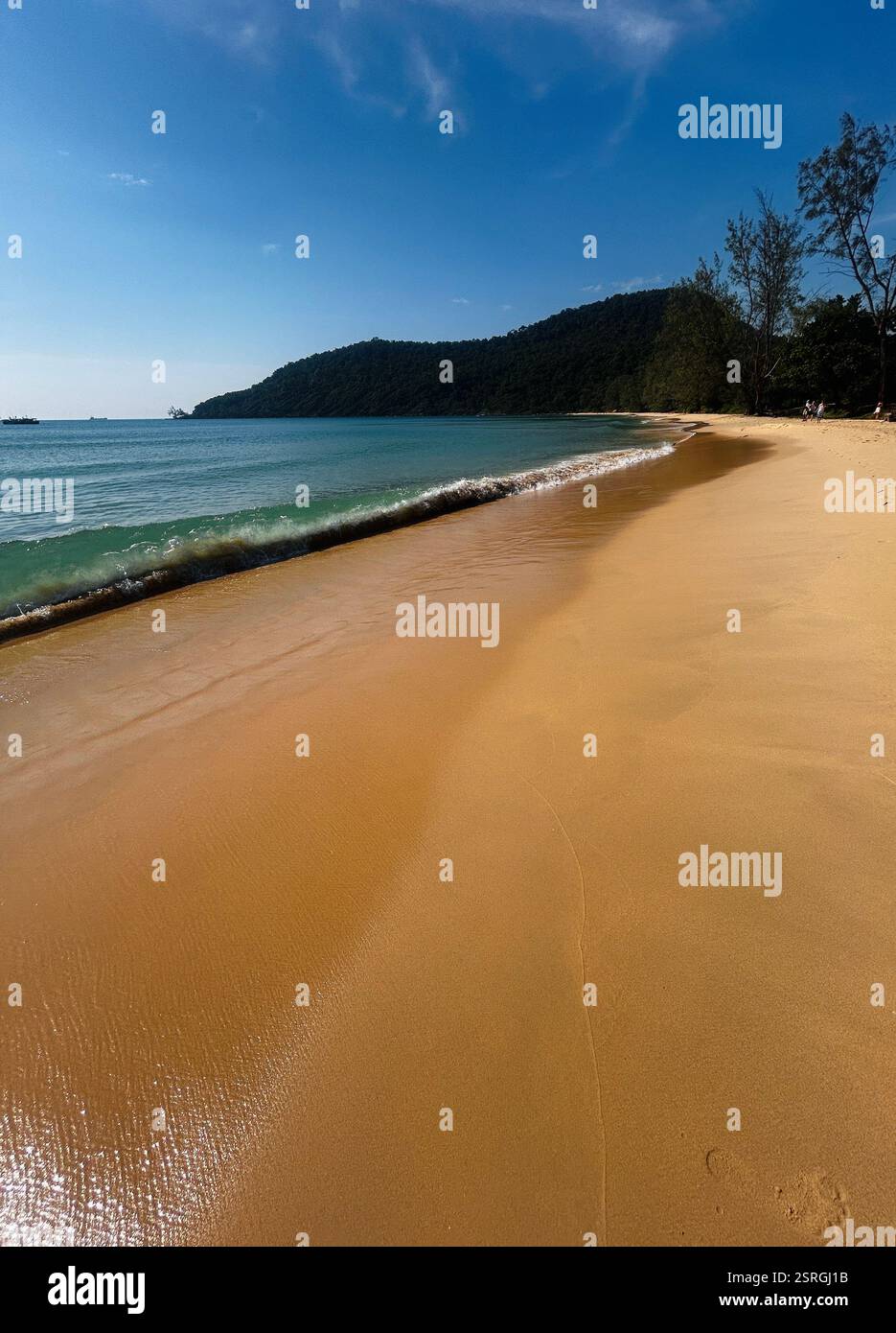 Tropical sunset - Smartphone Captured Stock Image