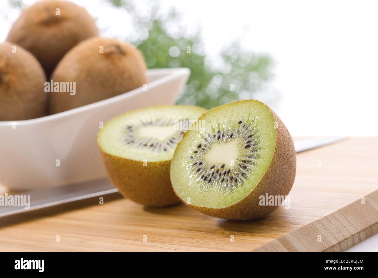 Kiwis birds animals hi-res stock photography and images - Alamy