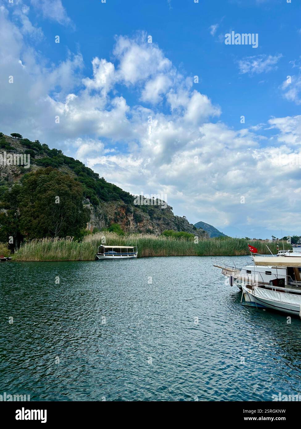 Beautiful view of the Dalyan river in Türkiye, surrounded by mountains and reeds - Smartphone Captured Stock Image