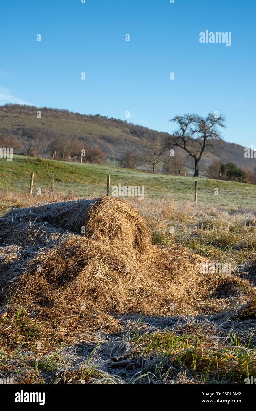 A frosty morning in Ariège reveals a serene winter landscape, where a ...