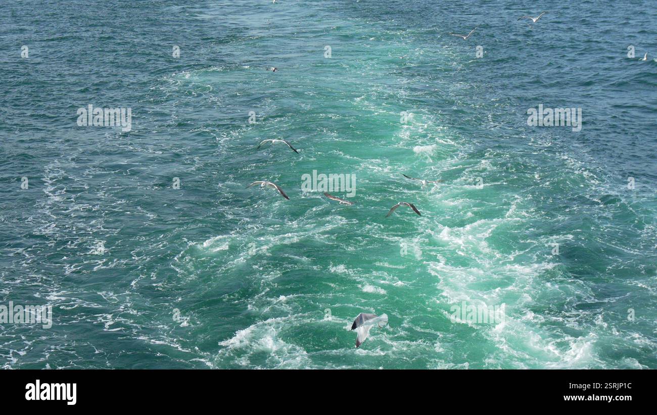 Ocean Wake Ship Trail: Sea, Vessel, Waves, turbulent water trail behind ...
