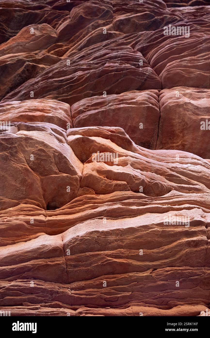 Zion National Park. Erosion sculpted the rock Stock Photo - Alamy