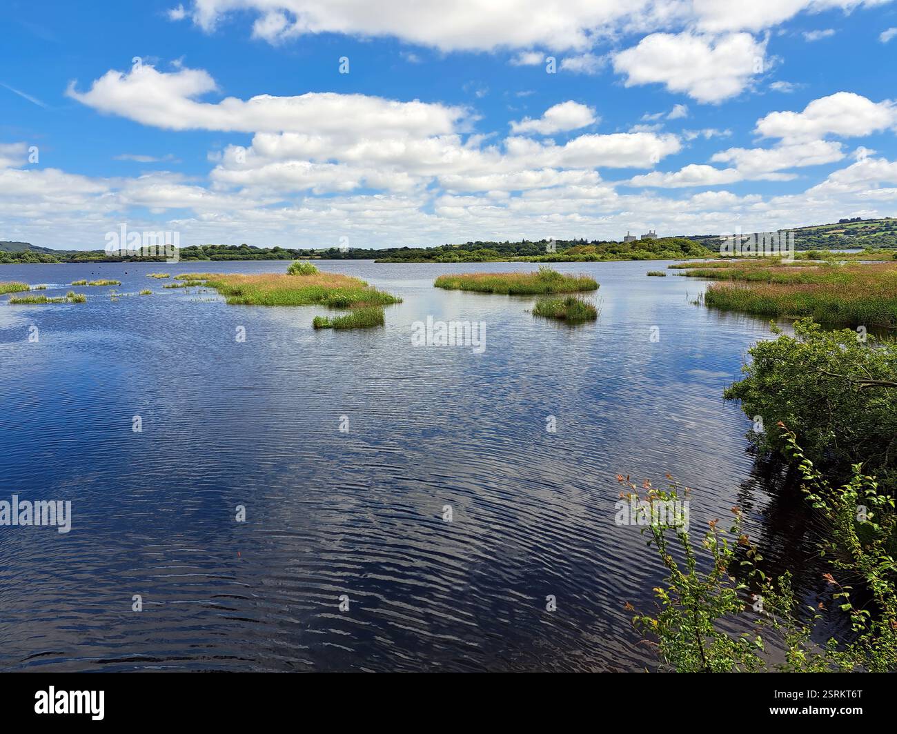 The Gearagh is a submerged glacial woodland and nature reserve two kilometres southwest of Macroom, County Cork, in Kilmichael parish, Ireland. - Smartphone Captured Stock Image