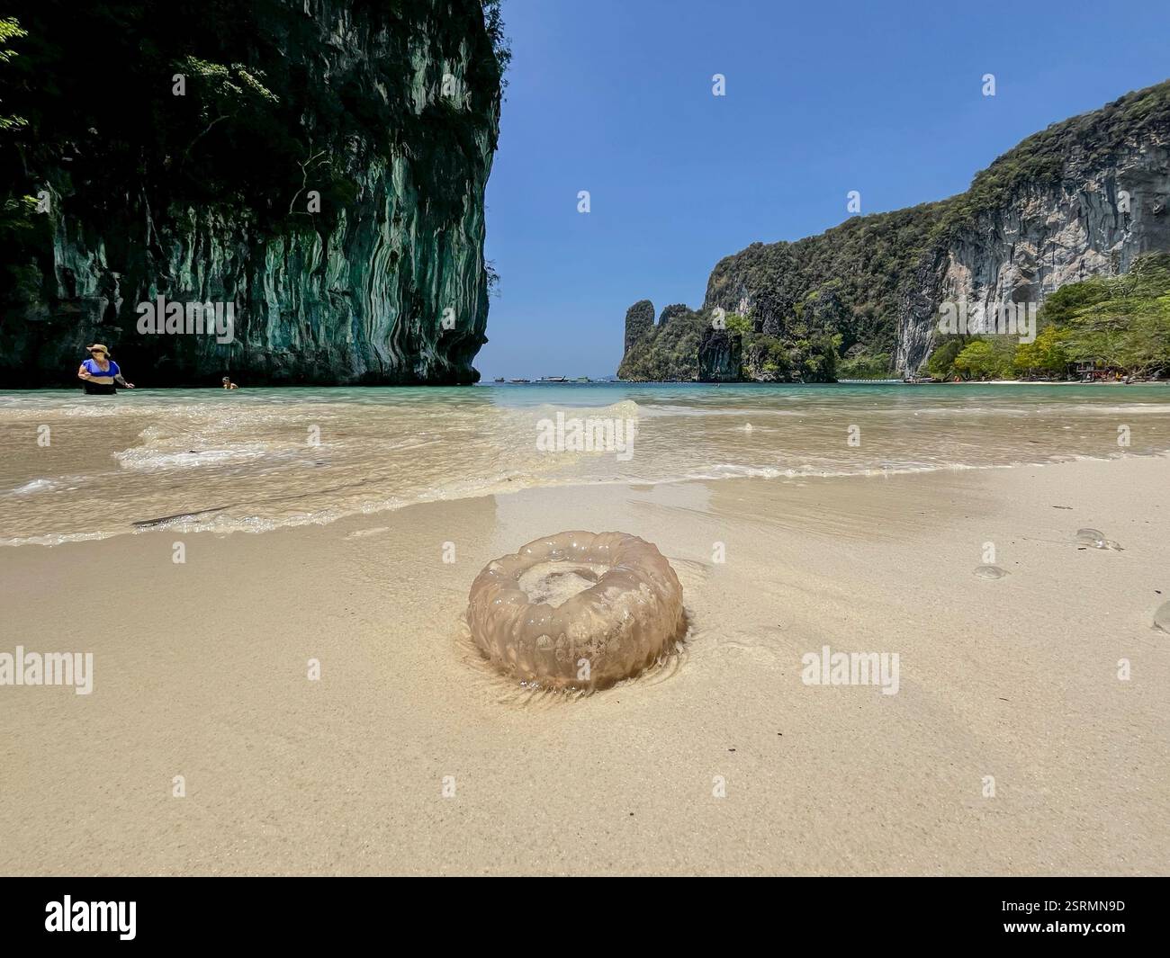Paradisiac island hi-res stock photography and images - Alamy