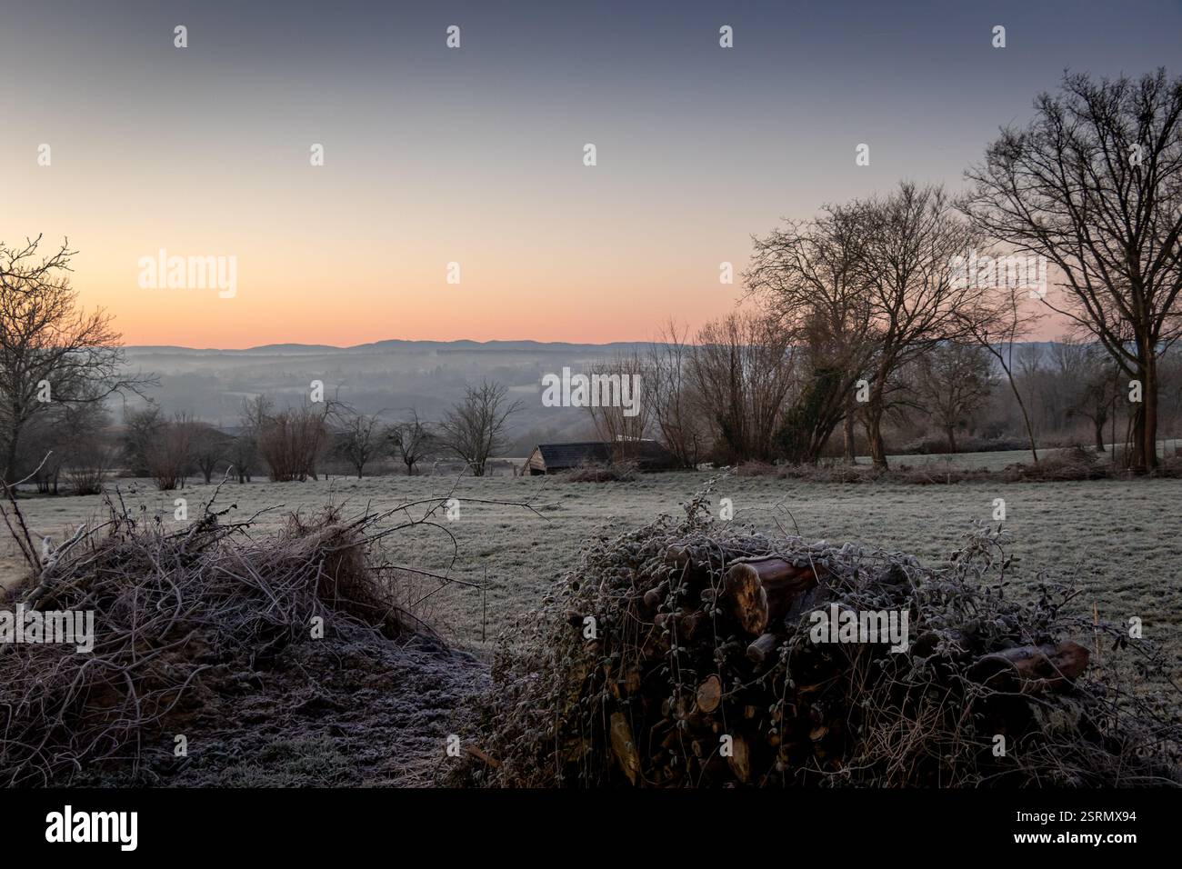 A landscape of a winter morning in Creuse, France with frosty ground, a log pile in the foreground and orange sky on the horizon. Stock Photo