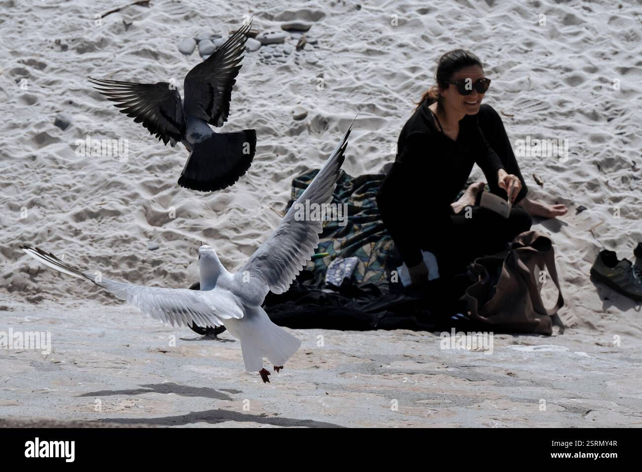 A woman sunbathes amid seagulls on the beach of the Promenade des