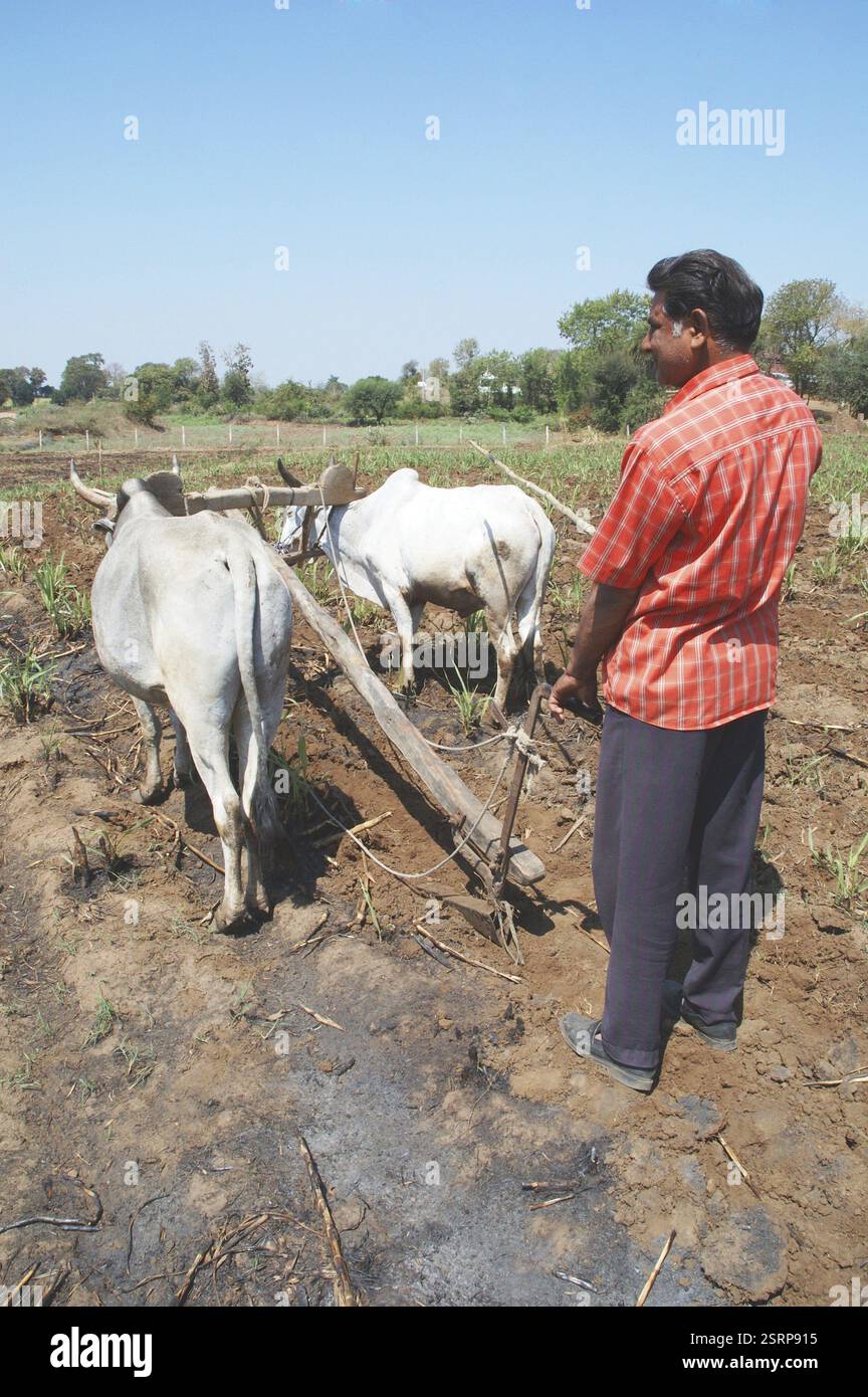Farmer ploughing field using hi-res stock photography and images - Alamy