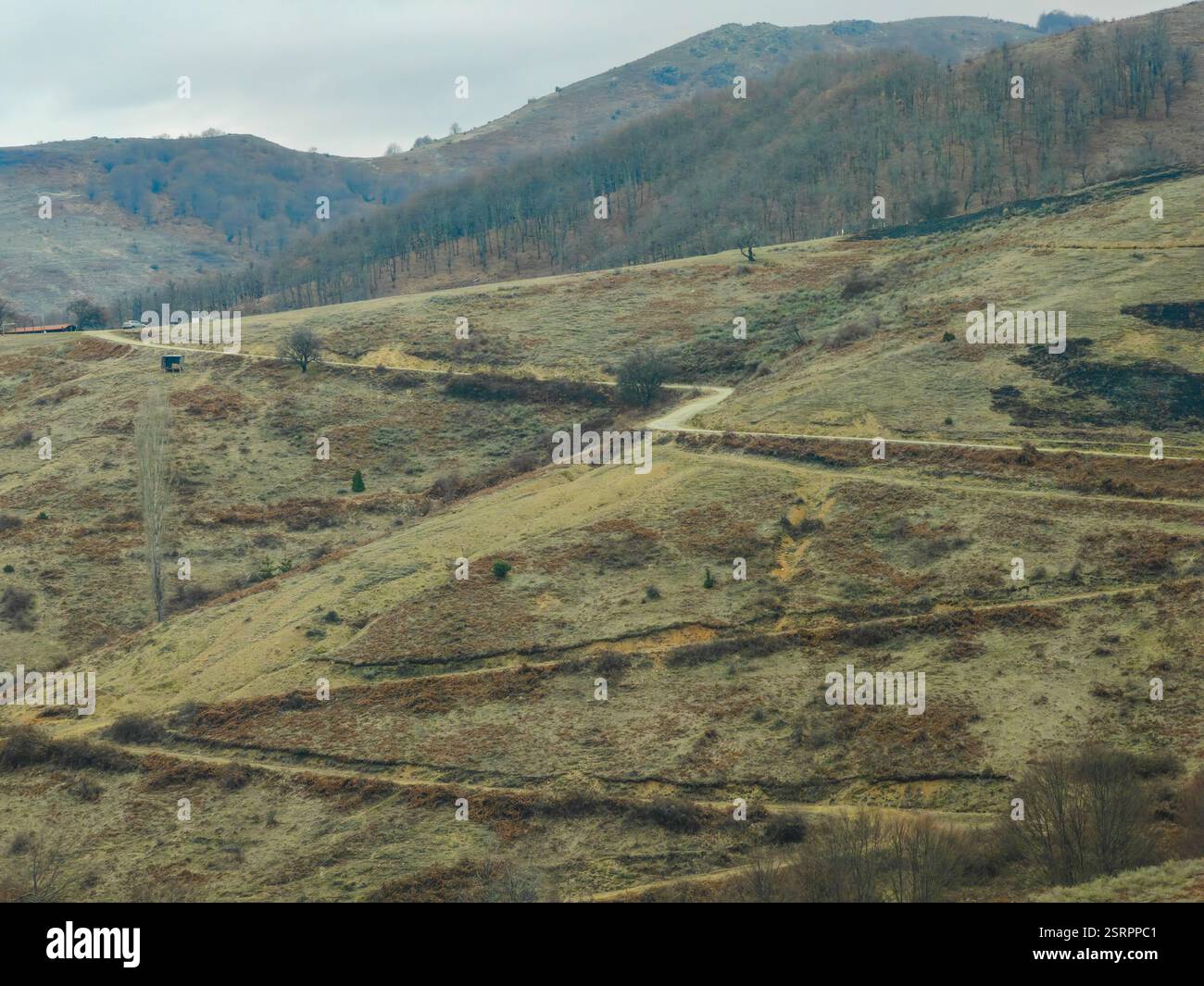 Breathtaking view winding road hires stock