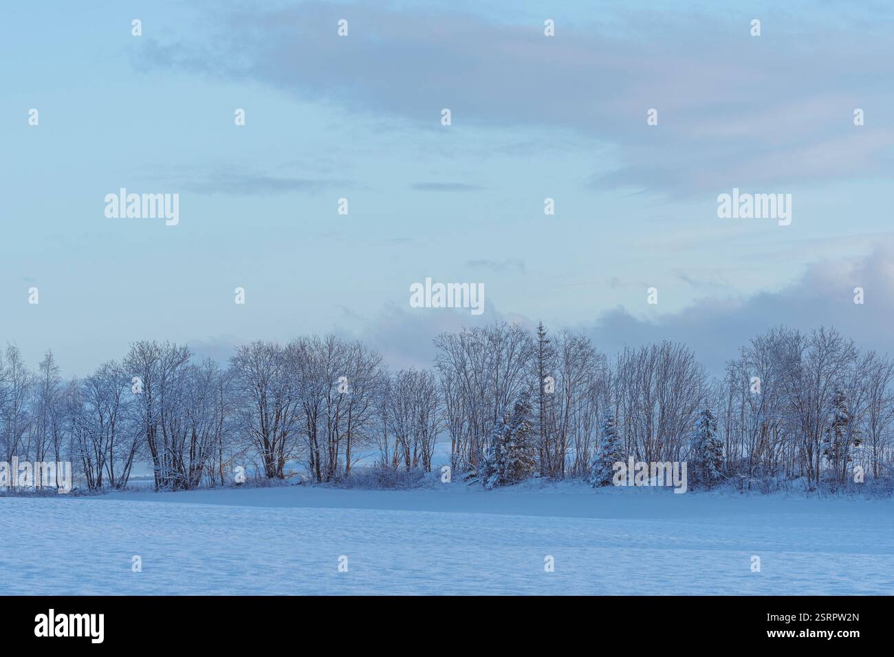 Cultural landscape of Toten, Norway, in December Stock Photo - Alamy