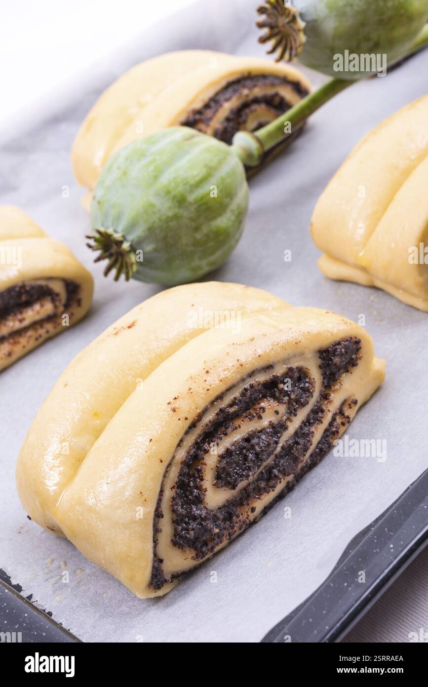Raw Quick Poppy Seed Rolls Stock Photo