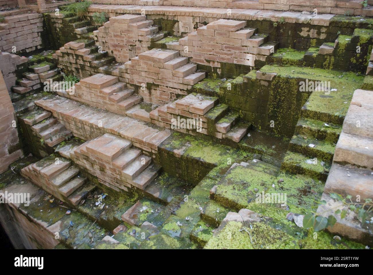 Steps with algae of mahilabagh stepwell, Jodhpur, Rajasthan, India ...