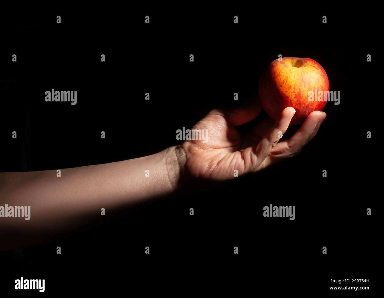 peach in hand on black background Stock Photo