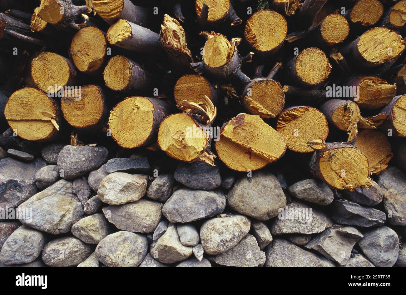 Detail of stone and wood, Himachal Pradesh, India, Asia Stock Photo