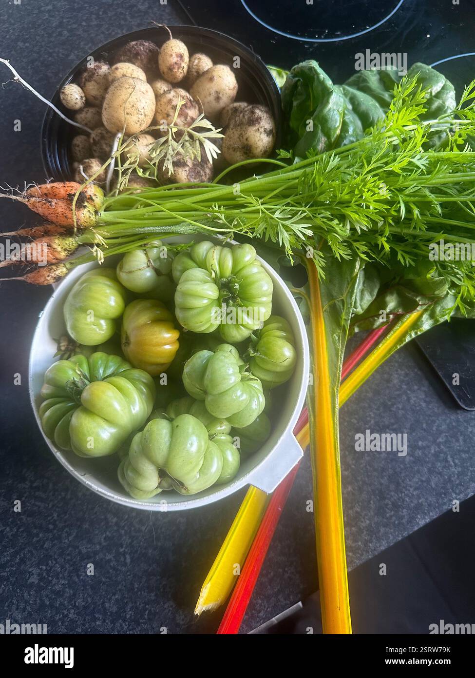 Homegrown produce, tomatoes, carrots, potatoes, Swiss chard - Smartphone Captured Stock Image