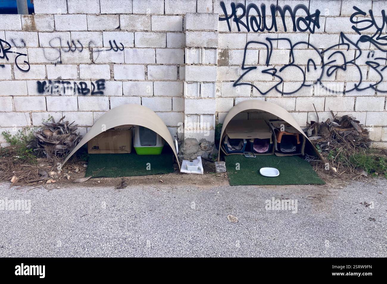 TORREMOLINOS, SPAIN - FEBRUARY 15, 2025: Temporary shelter for stray cats - Smartphone Captured Stock Image