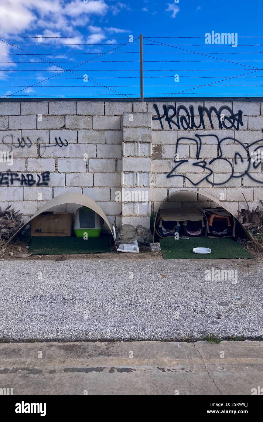 TORREMOLINOS, SPAIN - FEBRUARY 15, 2025: Temporary shelter for stray cats - Smartphone Captured Stock Image