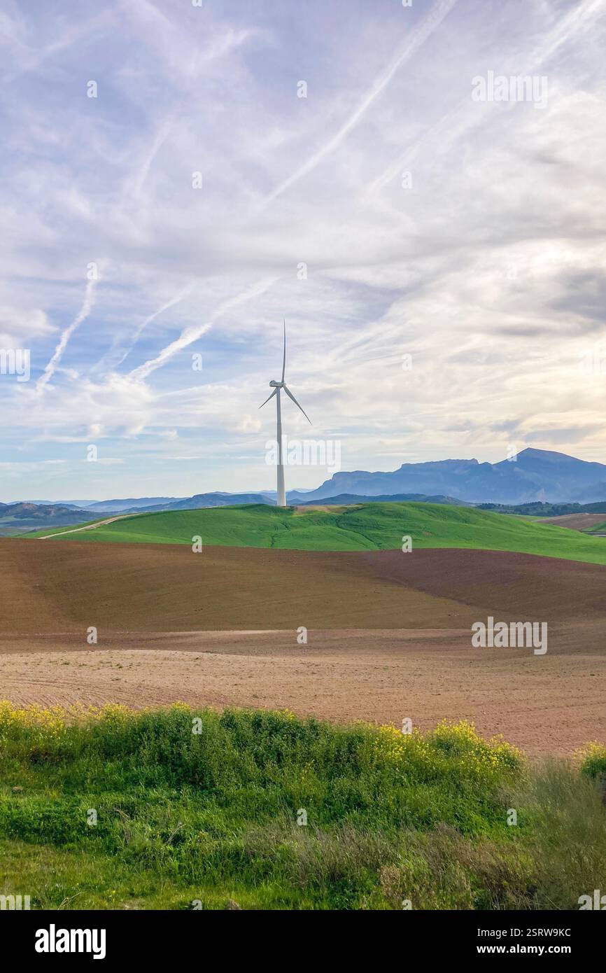 A windmill standing in a field of barley, its blades turning slowly in the wind, Andalusia, Spain - Smartphone Captured Stock Image
