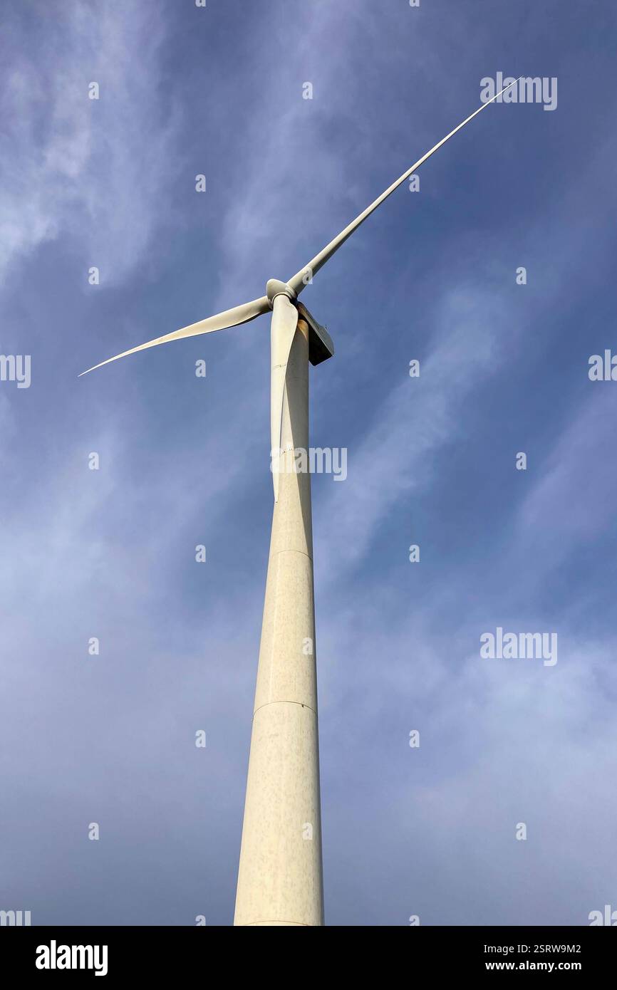 RONDA, SPAIN - FEBRUARY 15, 2025: A windmill standing in a field of barley, its blades turning slowly in the wind, Andalusia, Spain - Smartphone Captured Stock Image