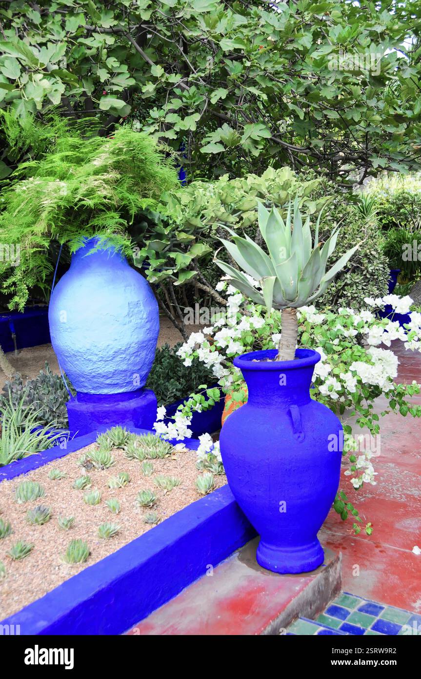 jardin-majorelle-botanical-garden-in-marrakech-purple-pots-in-a-lush