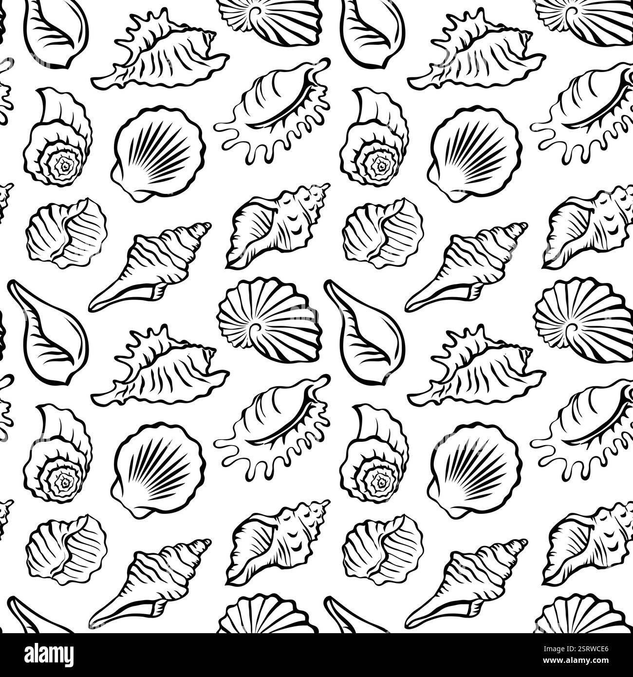 Starfish seashells on beach Black and White Stock Photos & Images - Alamy