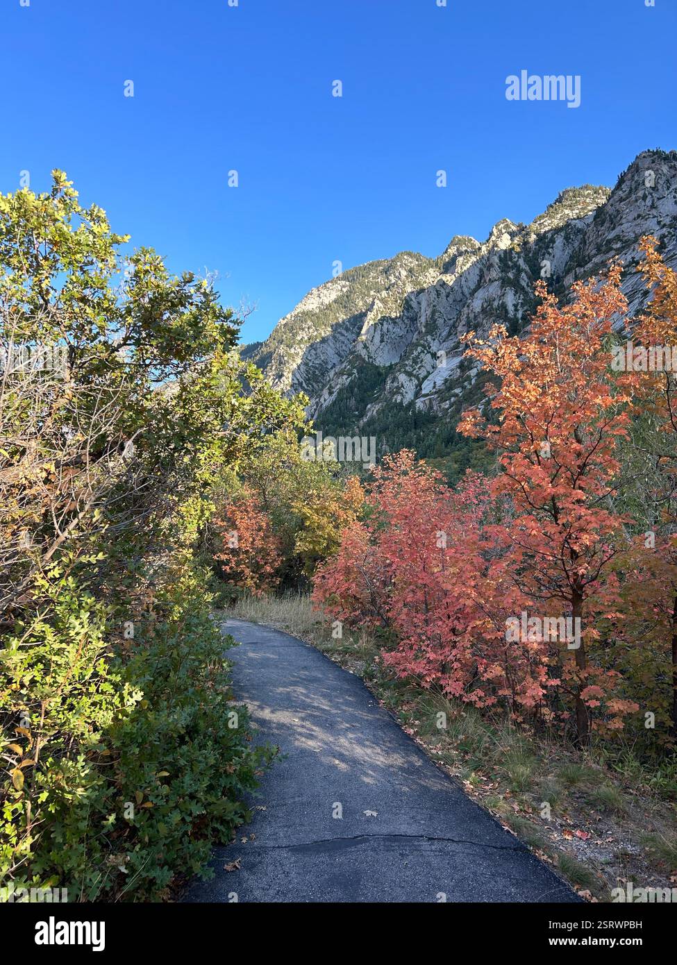 Big Cottonwood Canyon in Fall | Salt Lake City, Utah - Smartphone Captured Stock Image